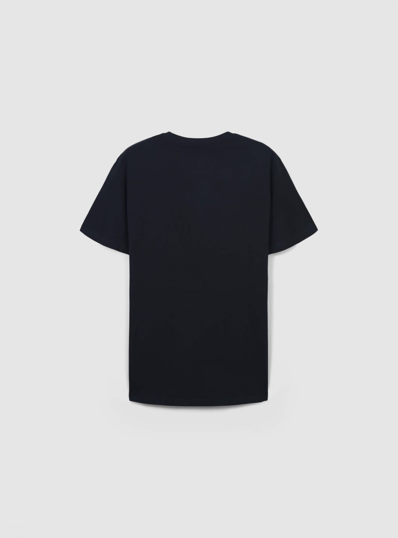T-Shirt MC Uomo Terranova