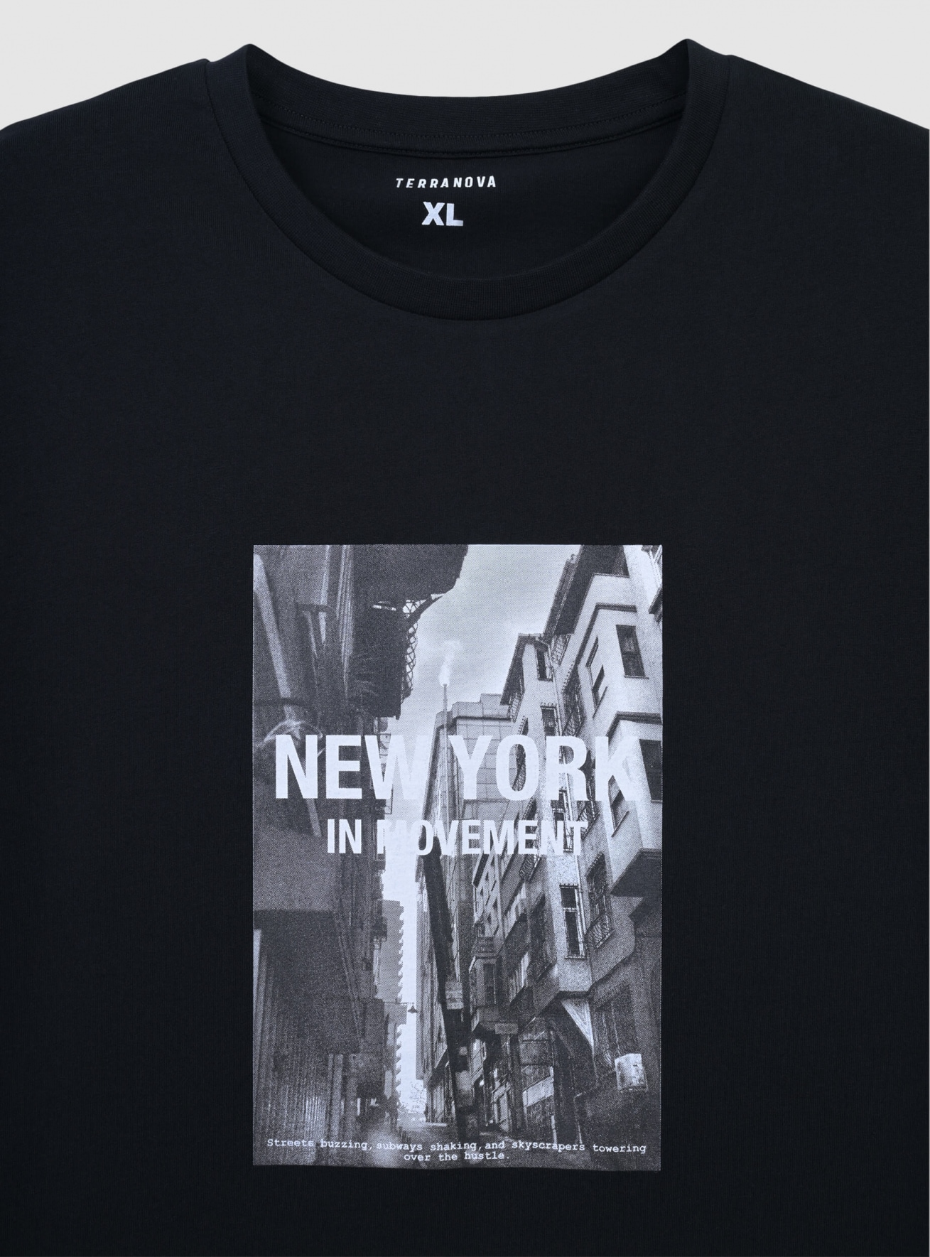 T-Shirt MC Herren Terranova