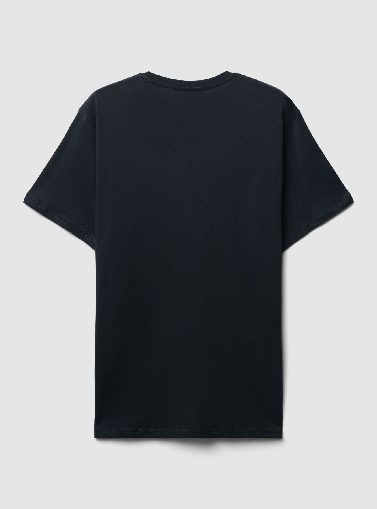 T-Shirt MC Pánské Terranova