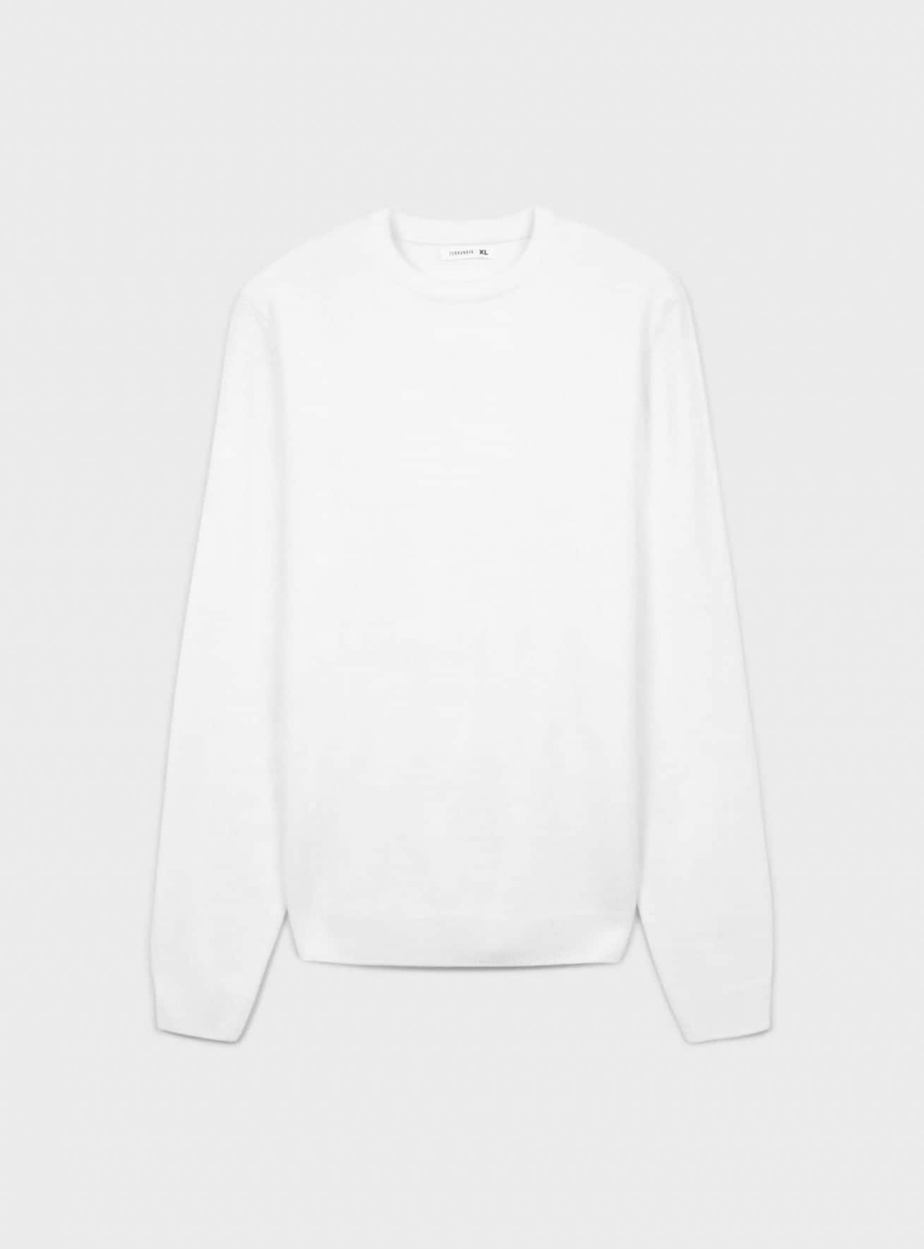 Sweter Uomo Terranova