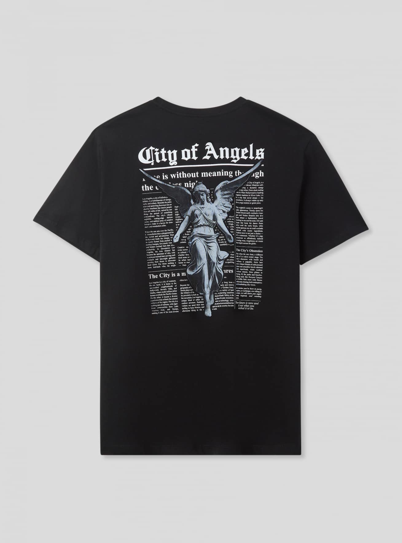 T-Shirt MC Homme Terranova