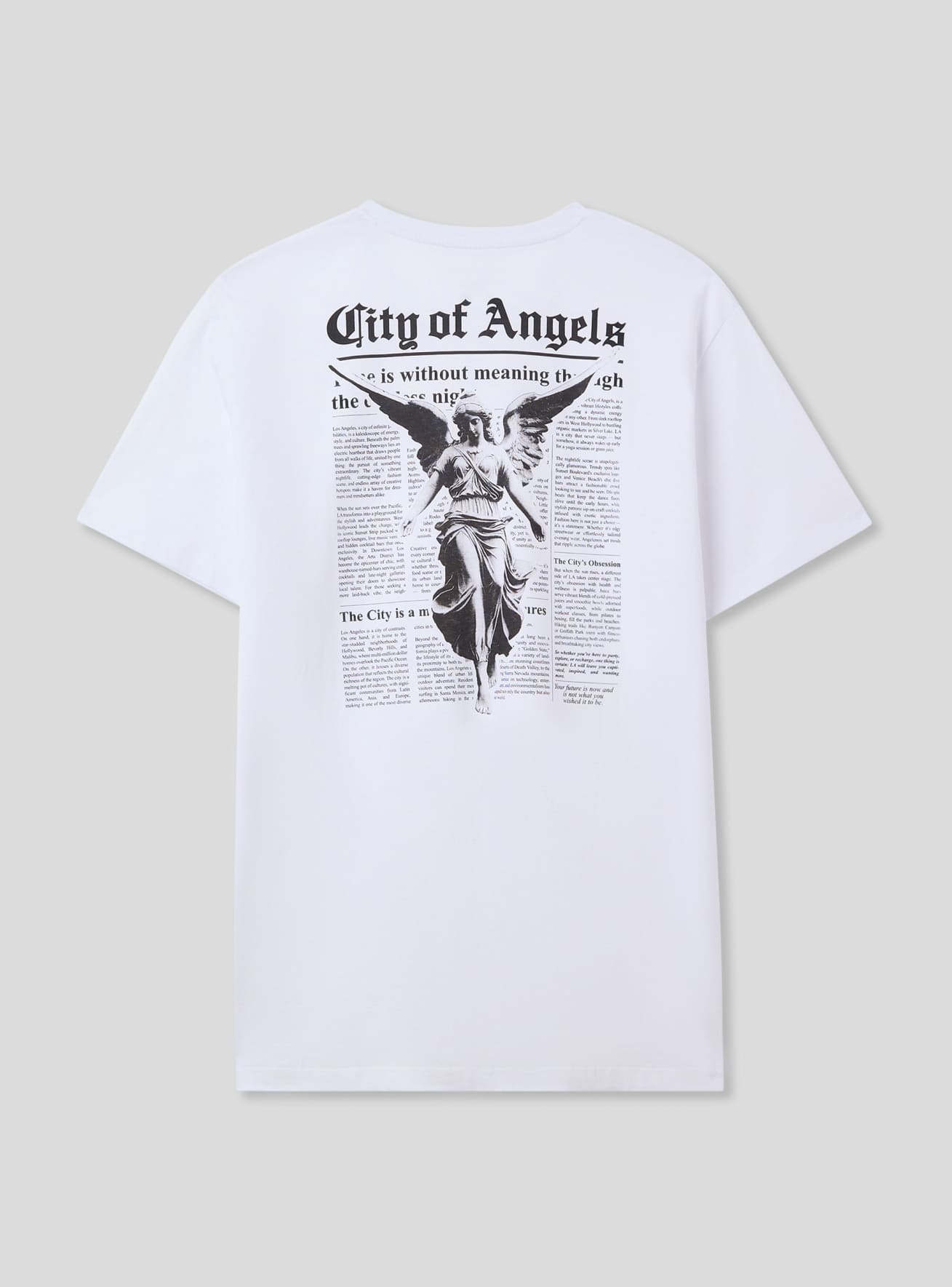 T-Shirt MC Pánské Terranova