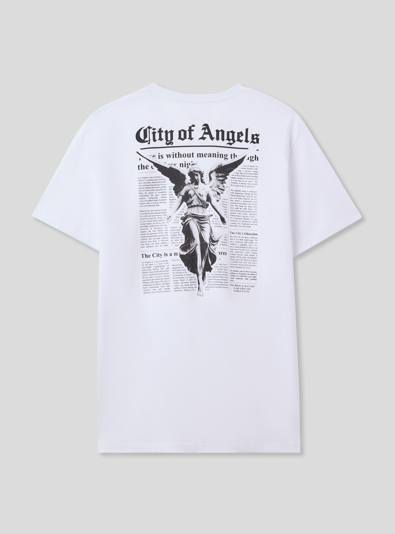 T-Shirt MC Uomo Terranova