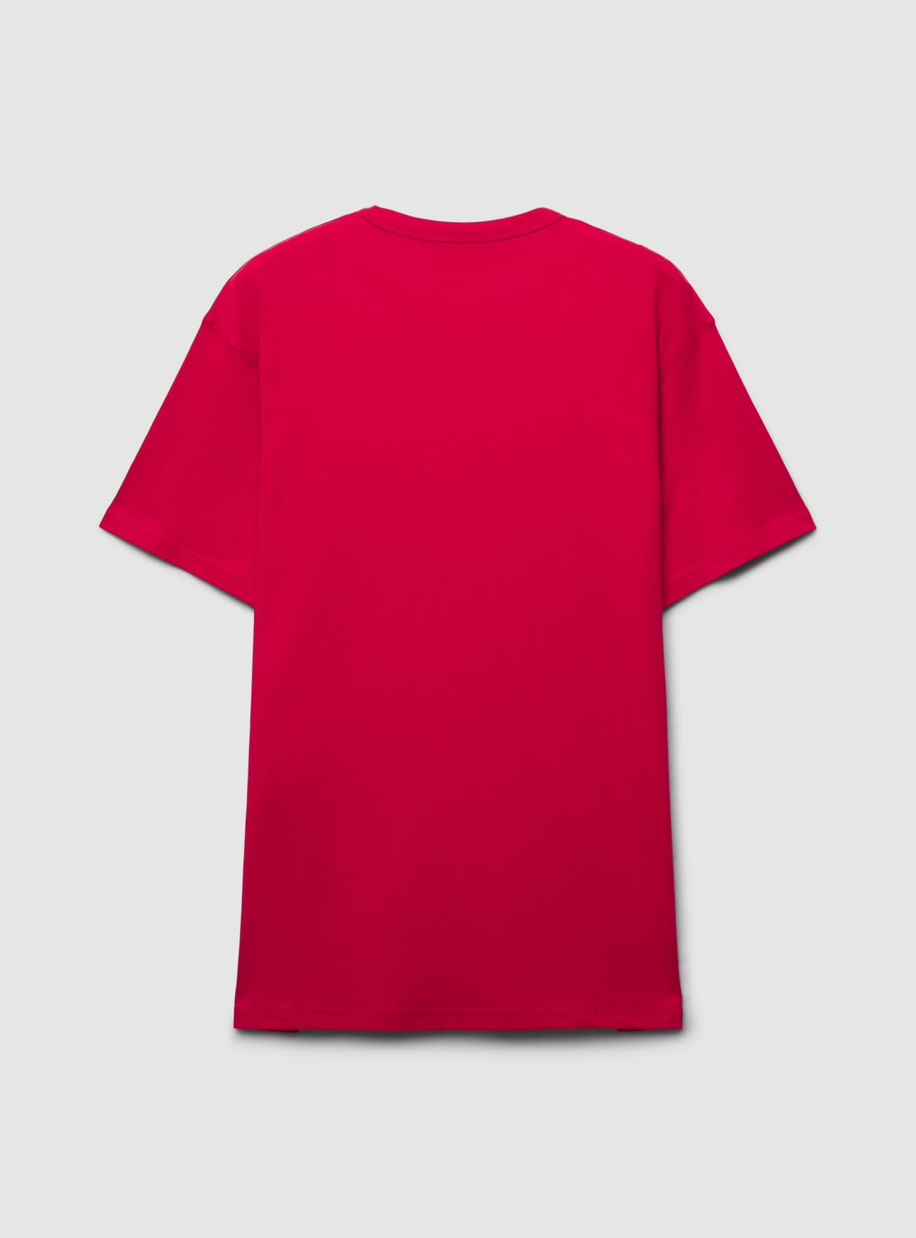 T-Shirt MC Homme Terranova