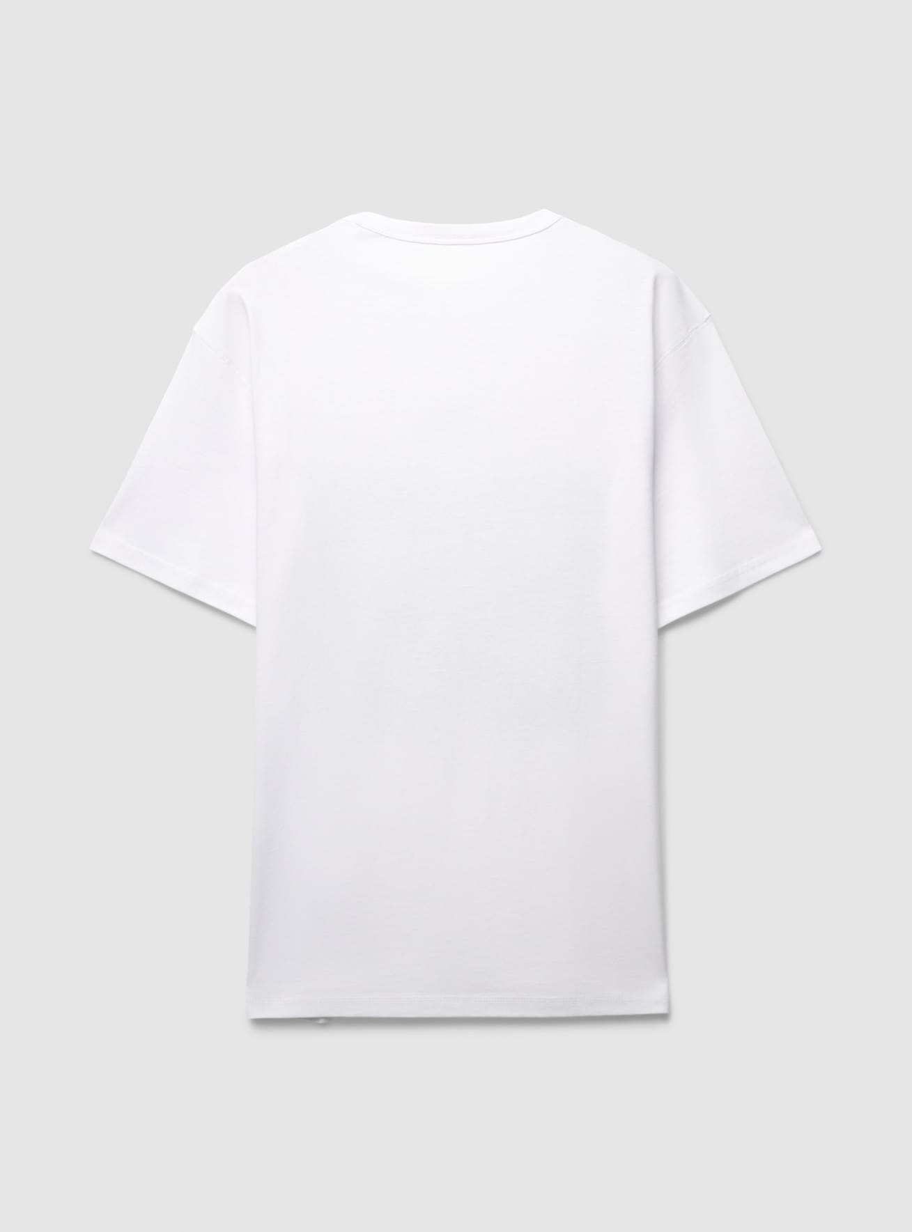 T-Shirt MC Homme Terranova