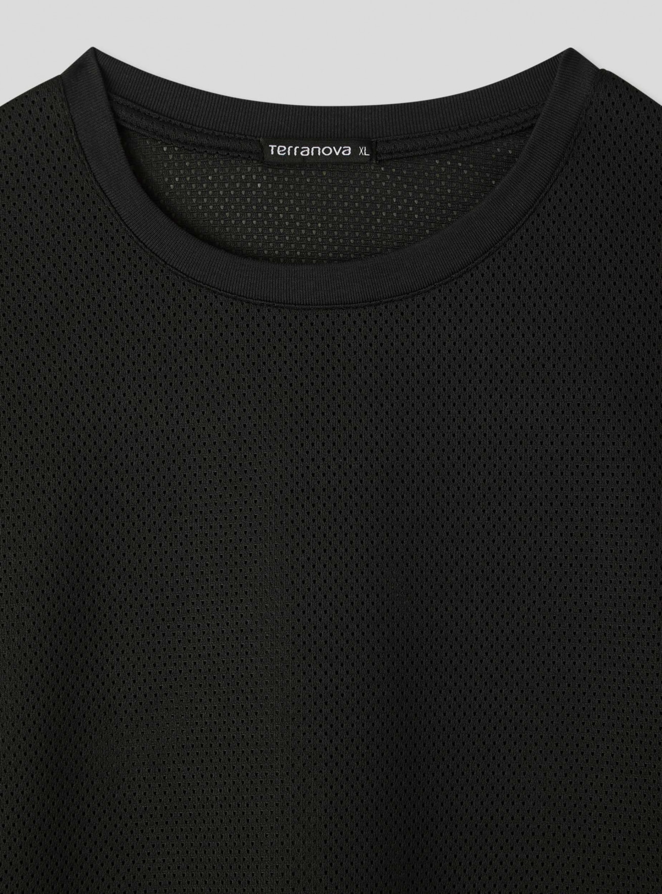 T-Shirt MC Homme Terranova