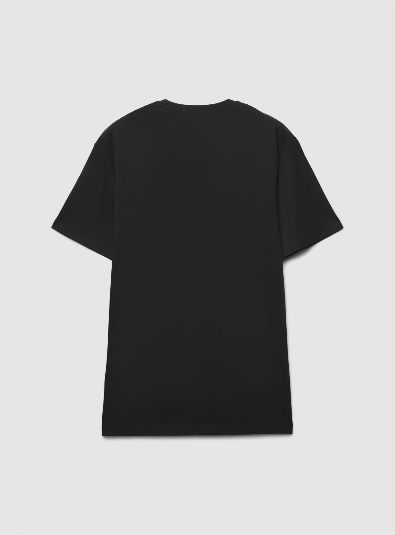 T-Shirt MC Uomo Terranova