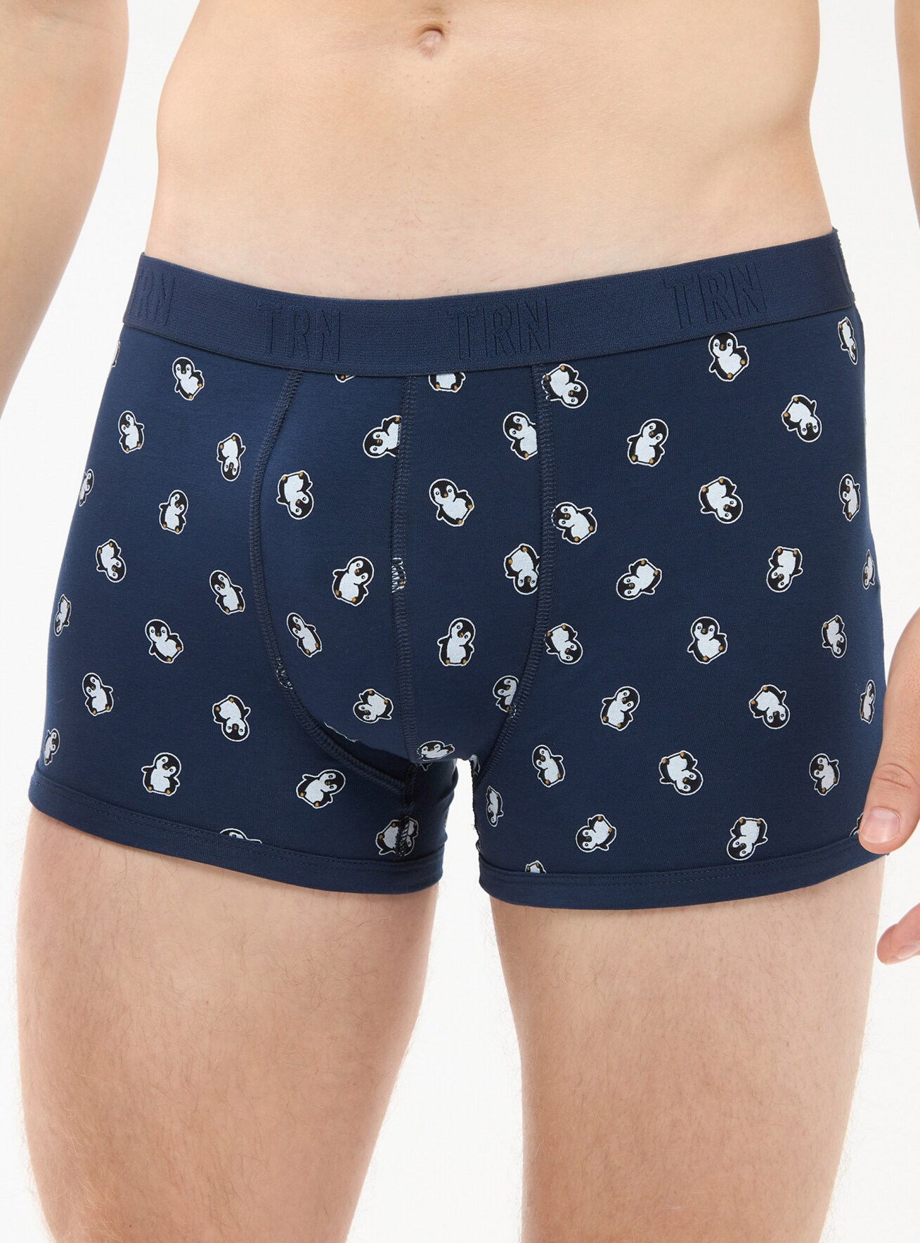 Slip Muz Terranova
