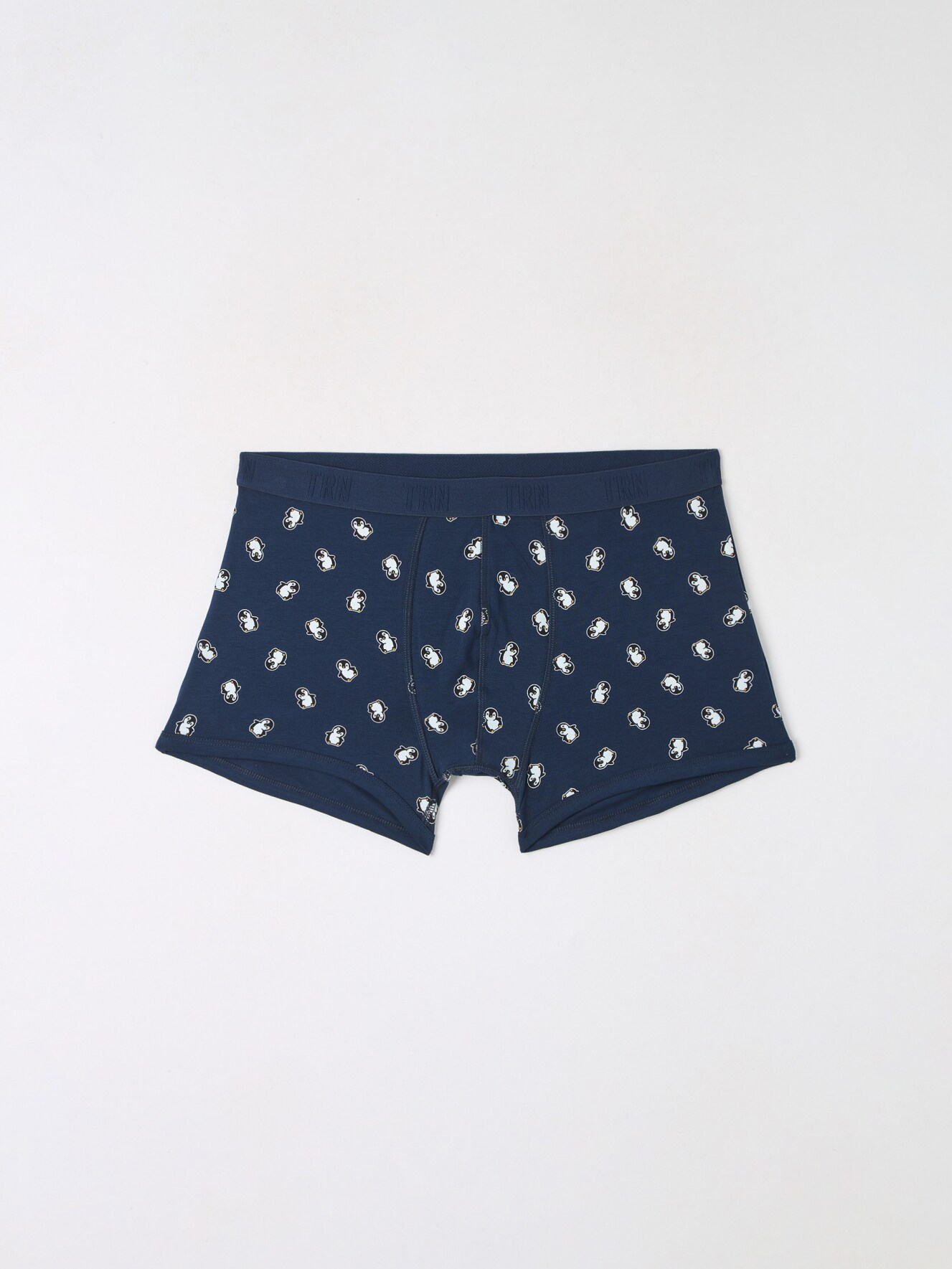 Slip Muz Terranova