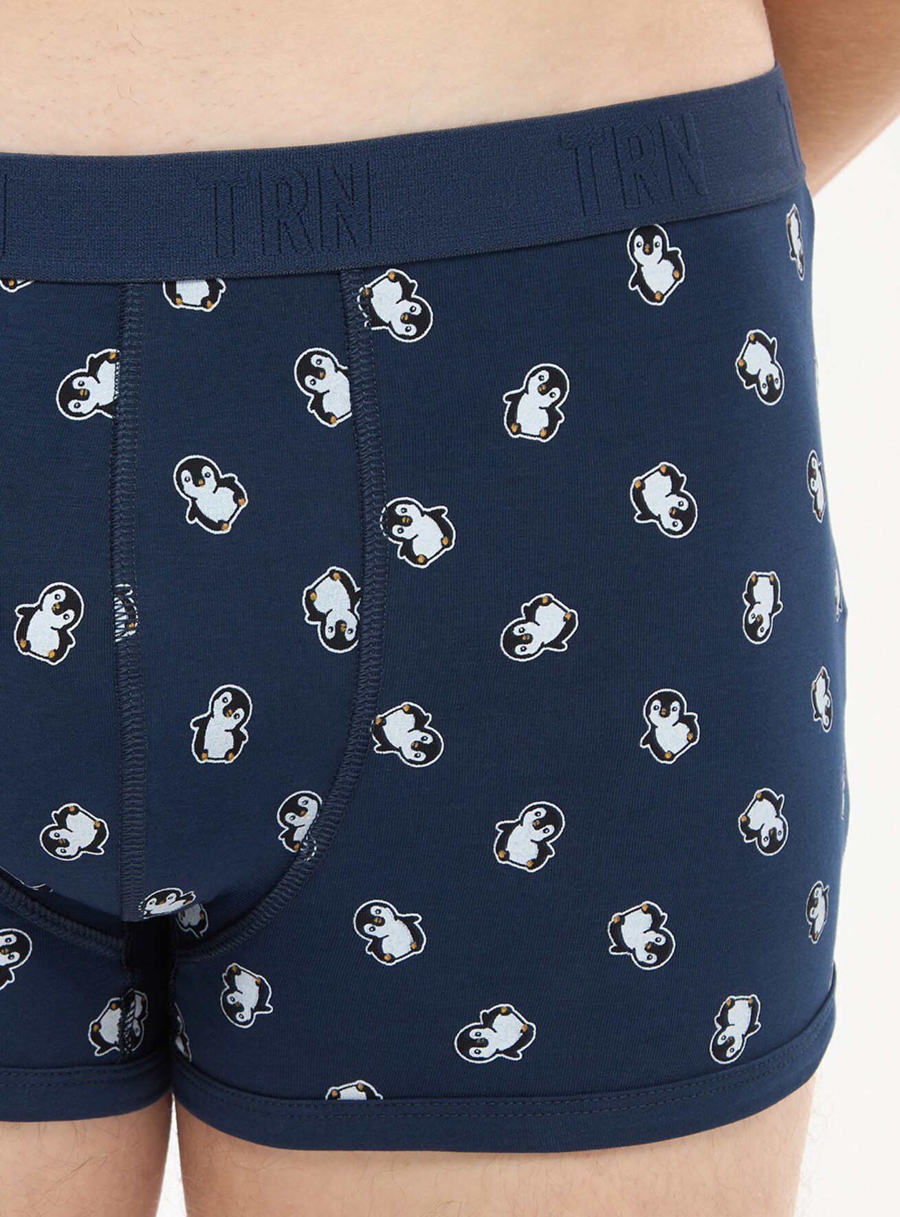 Slip Muz Terranova