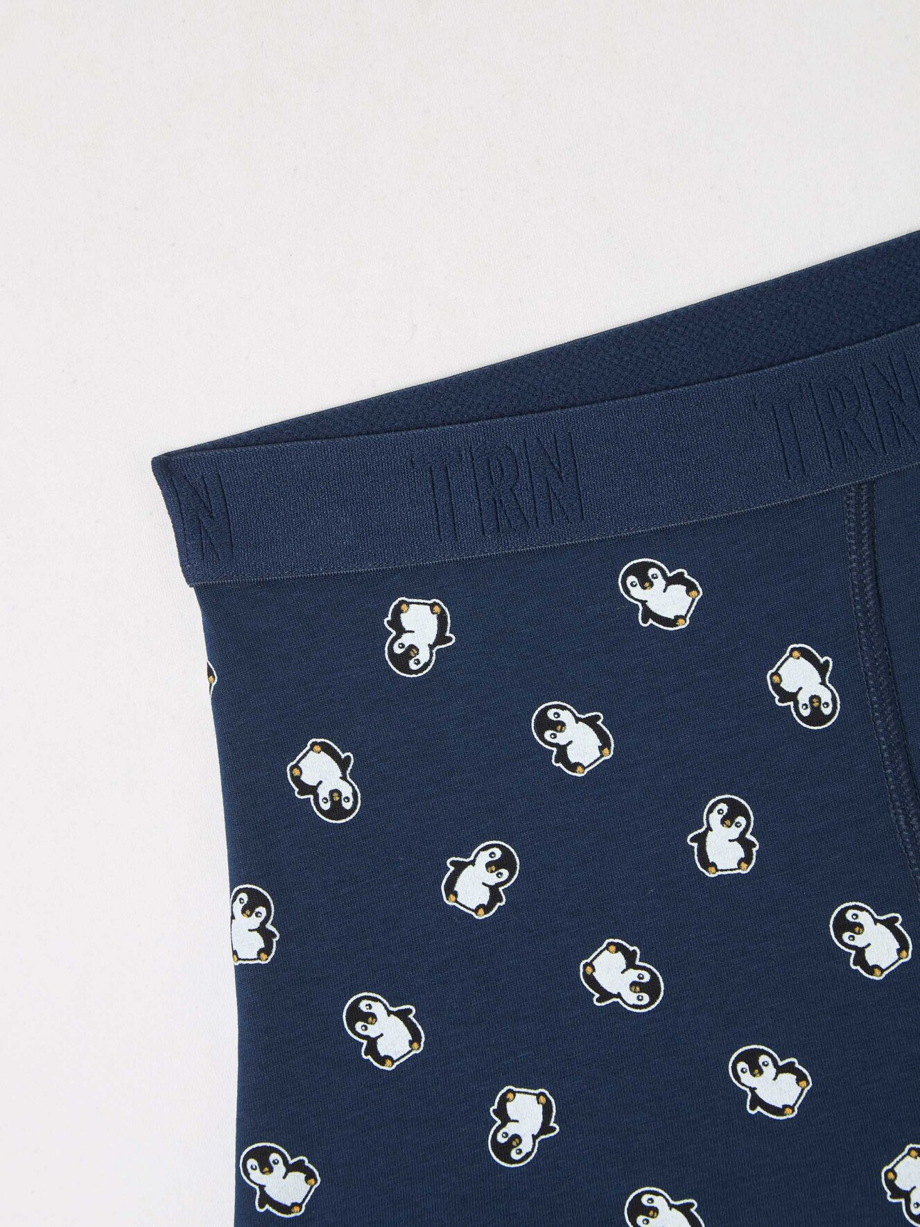 Slip Muz Terranova
