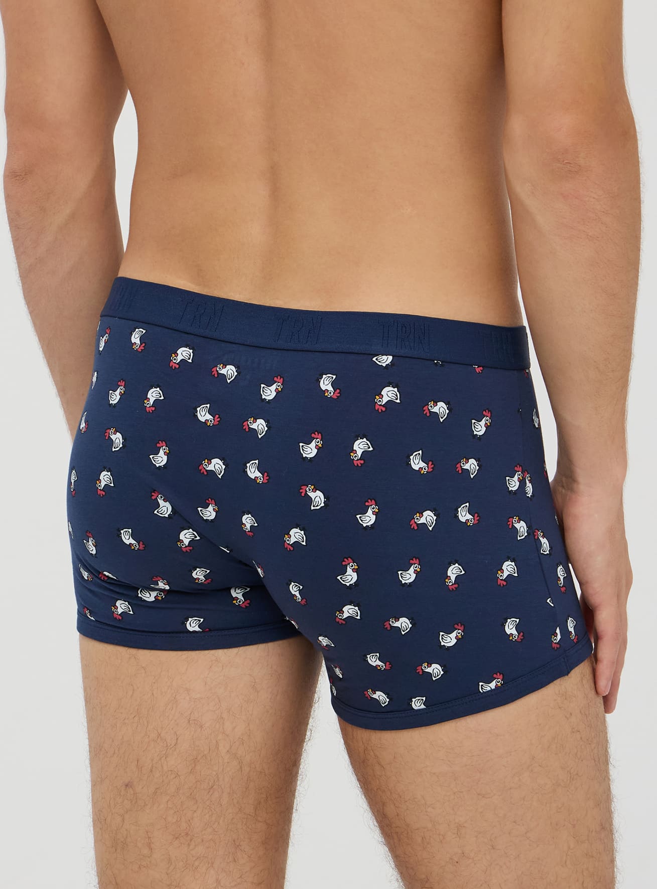 Slip Uomo Terranova