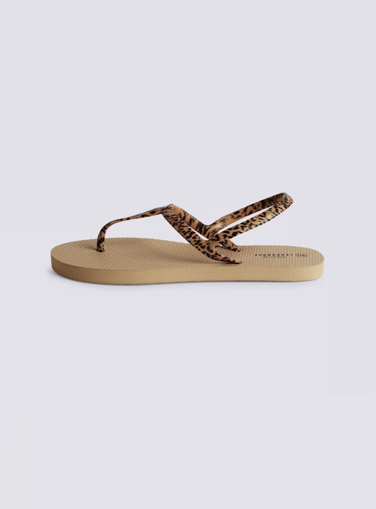 Calzature Donna Terranova