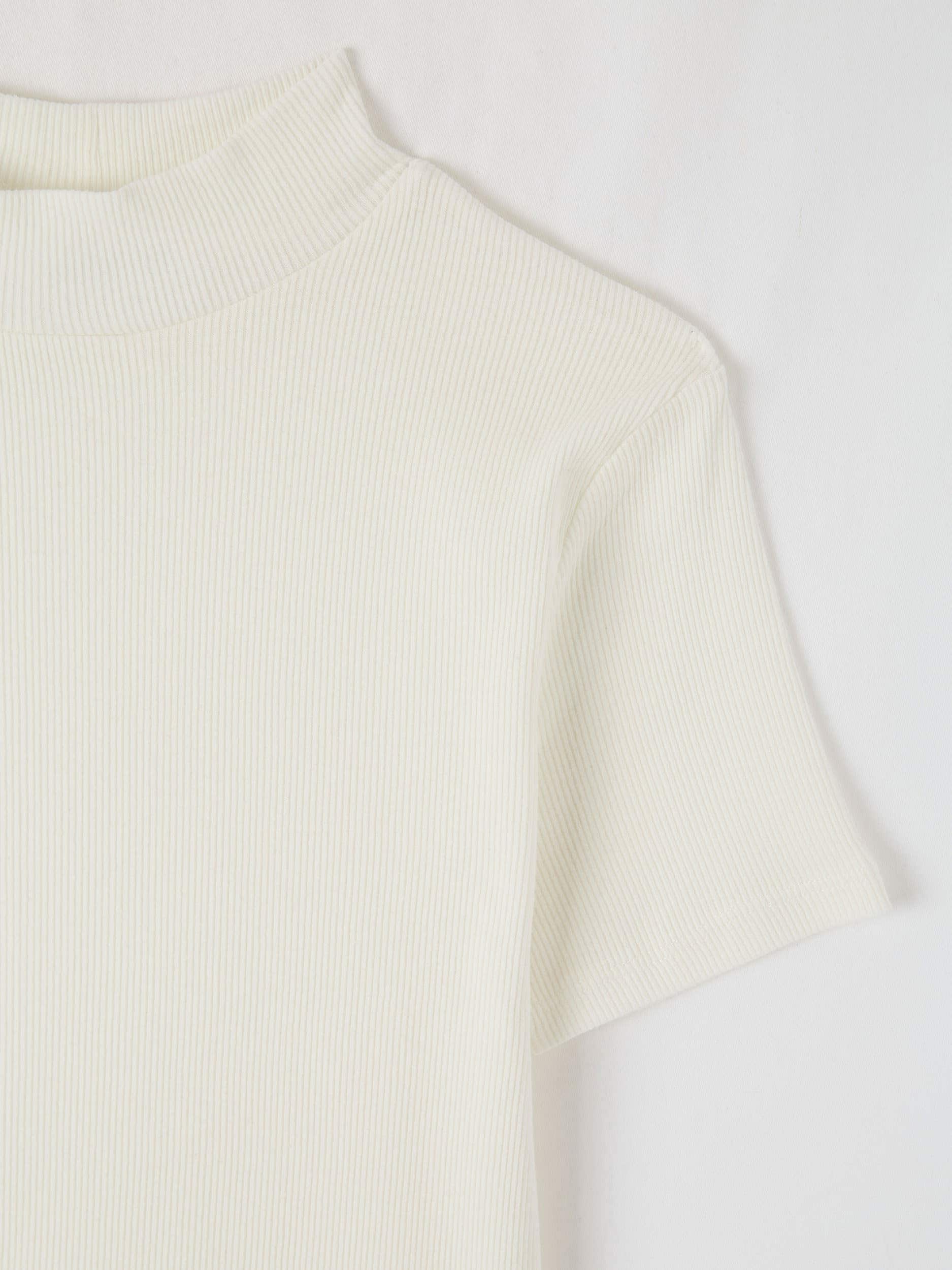 mid turtleneck shirt